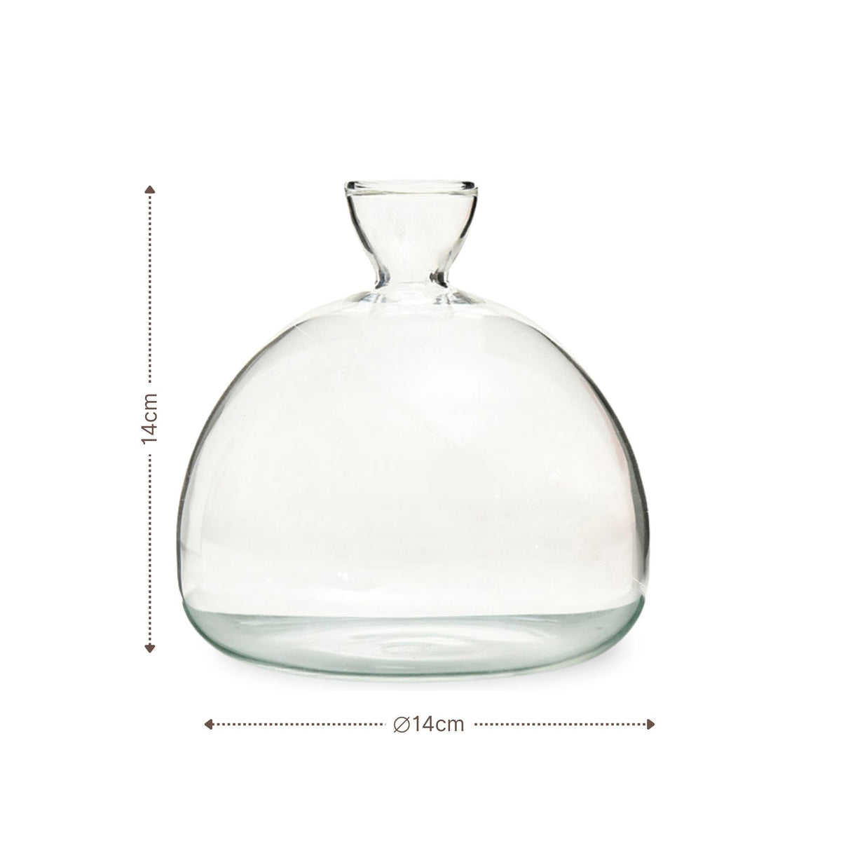 Avocado-Blumentopf Avocado-Anzucht Hydrokultur-Vase Glas-Pflanztopf