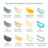 Ersatzglas für magnetische Skibrille Wechselglas Skibrillenglas Snowboardbrillenglas