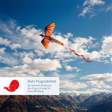 3D-Flugdrachen Einleiner-Drachen Kinderdrachen Kite Outdoor-Drachen
