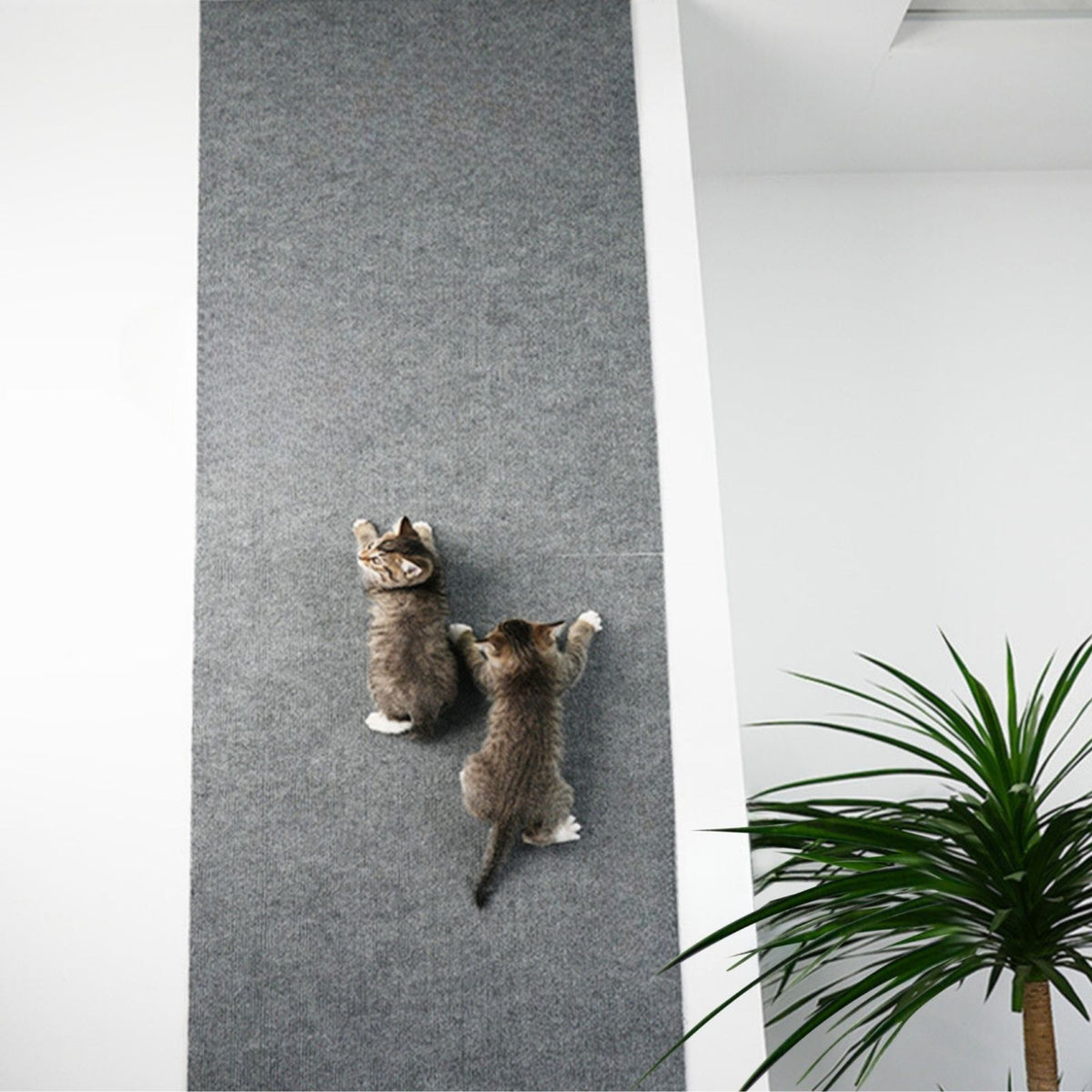 Kratzmatte für Katzen Klettermatte Kratzschutz Kratzbrett Kratzwand