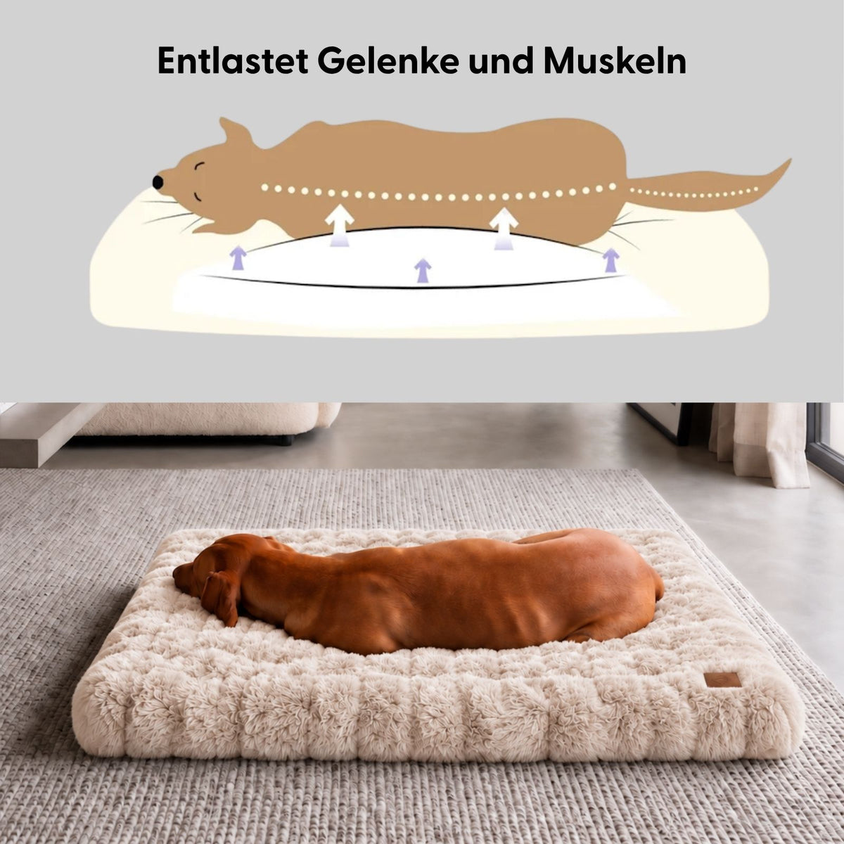 Kuschelbett Grösse XXL Haustierbett Hundebett Hundekissen Schlafplatz