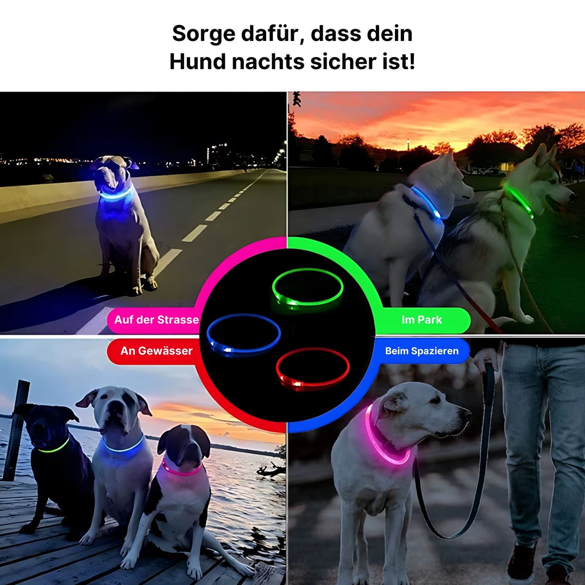LED-Sicherheits-Hundehalsband Hundehalsband Leuchthalsband Schlauchhalsband