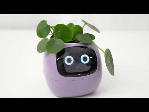 Smarter Blumentopf USB-Pflanzenübertopf Elektronischer Blumentopf Smart Plant Pot Ivy Smart Planter